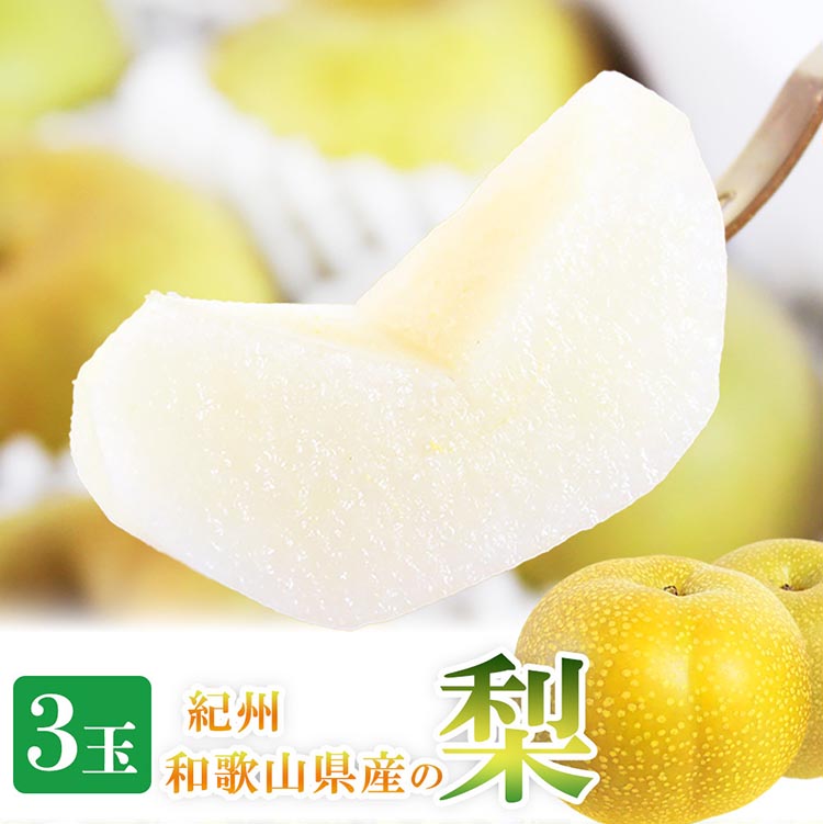 紀州和歌山産の梨 3玉 化粧箱入◇ ※離島への配送不可 ※2026年8月中旬頃〜2026年9月上旬頃に順次発送予定
