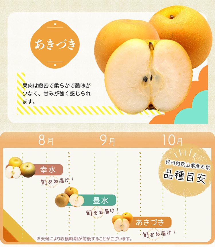 紀州和歌山産の梨 3玉 化粧箱入◇ ※離島への配送不可 ※2026年8月中旬頃〜2026年9月上旬頃に順次発送予定