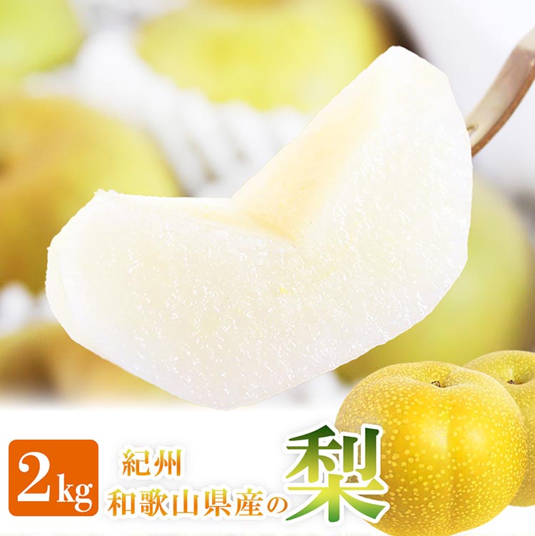 紀州和歌山産の梨 約2kg 化粧箱入◇ ※離島への配送不可 ※2026年8月中旬頃〜2026年9月上旬頃に順次発送予定