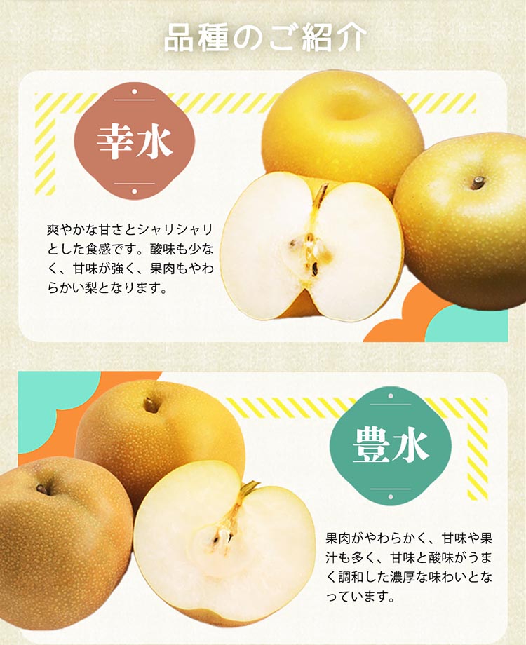 紀州和歌山産の梨 約2kg 化粧箱入◇ ※離島への配送不可 ※2026年8月中旬頃〜2026年9月上旬頃に順次発送予定