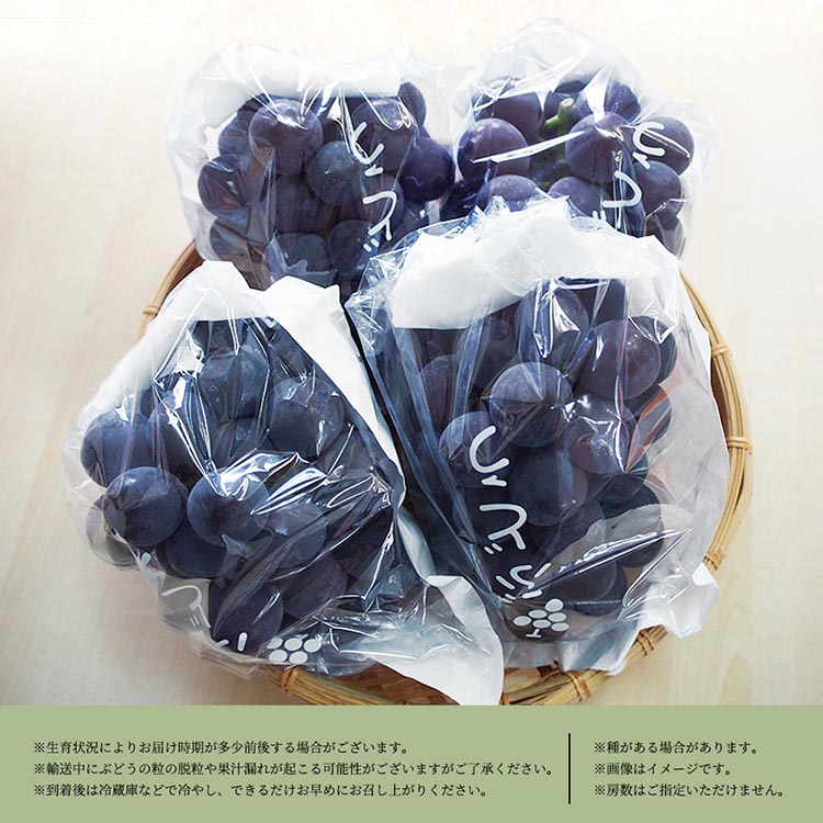 紀州和歌山産ピオーネ 約2kg◇ 