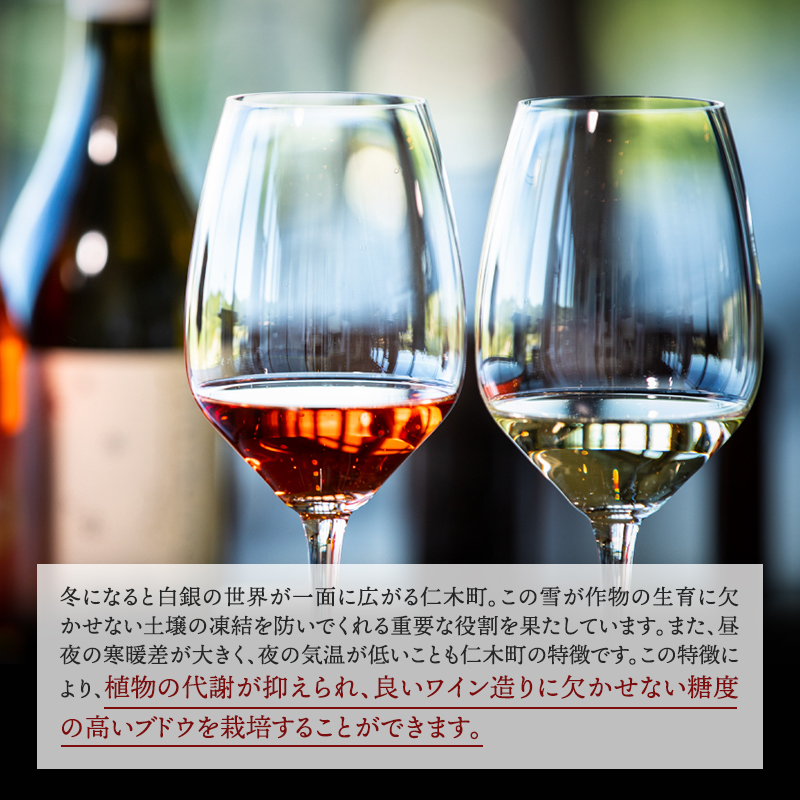 NIKI Hills Winery 白ワイン【 NEIRO 2024 】 750ml ワイン 洋酒 お酒 アルコール ブドウ ぶどう 中辛[株式会社NIKI Hillsヴィレッジ]