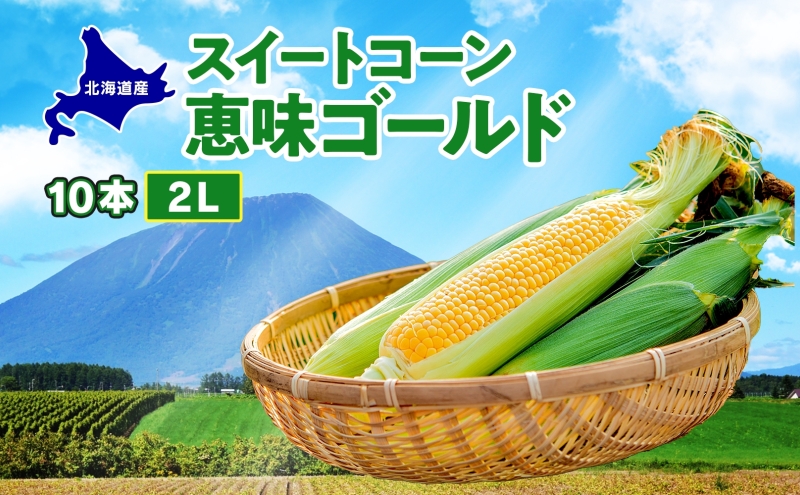  北海道産 スイート コーン めぐみゴールド 2Lサイズ 10本 先行受付 2026年8月上旬～下旬頃お届け とうもろこし 恵味 めぐみ トウモロコシ 旬 完熟 朝もぎ 野菜 産地直送 お取り寄せ 北海道 丸田農園 洞爺湖 