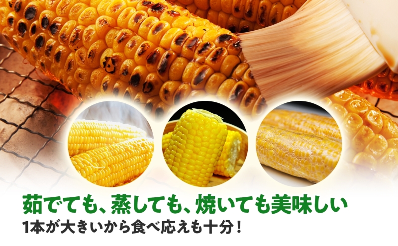  北海道産 スイート コーン めぐみゴールド 2Lサイズ 10本 先行受付 2026年8月上旬～下旬頃お届け とうもろこし 恵味 めぐみ トウモロコシ 旬 完熟 朝もぎ 野菜 産地直送 お取り寄せ 北海道 丸田農園 洞爺湖 