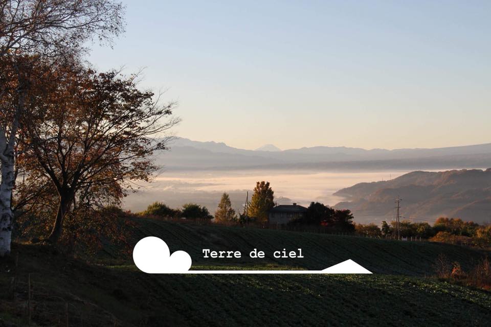 ワイン 750ml 6本 セット 赤ワイン 白ワイン 酒 アルコール ギフト プレゼント