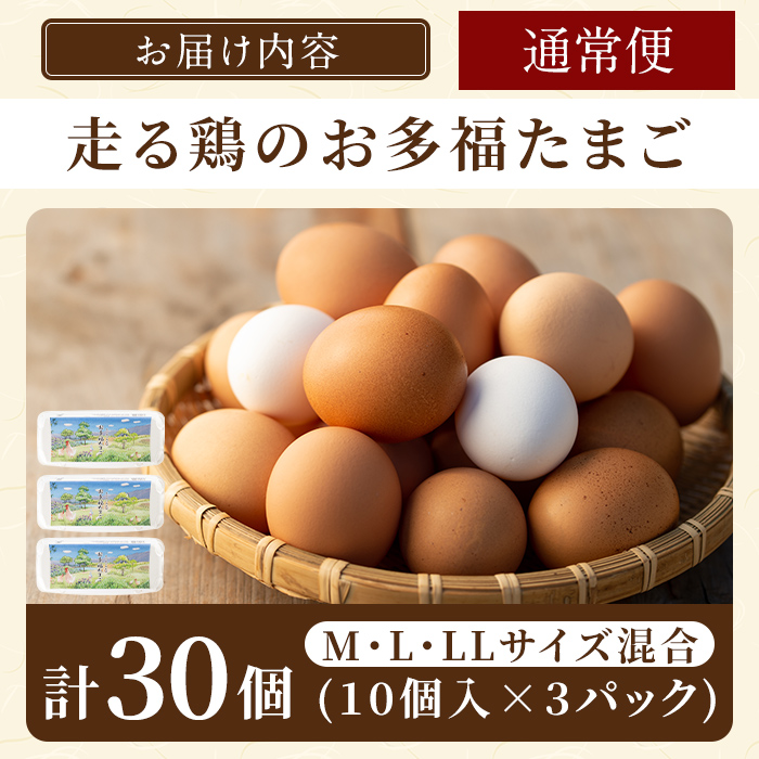 鹿児島県霧島市のふるさと納税 K-173-A ＜通常便＞オーガニック卵「お多福たまご」(計30個・10個入×3パック)【お多福たまご】有機JAS オーガニック 放し飼い自然卵 霧島市 国産 九州産 鹿児島県産 たまご 卵 鶏卵 朝食 通常便