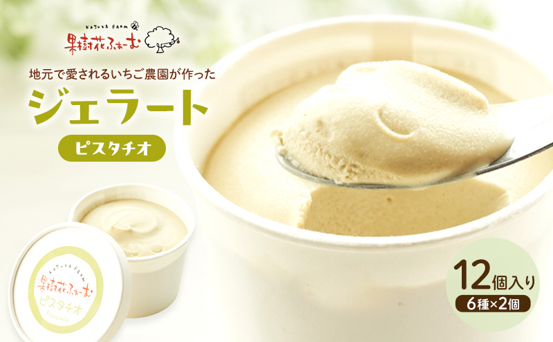 ジェラート ピスタチオ 12個 アイス アイスクリーム スイーツ お菓子 菓子 おやつ 兵庫県 加西市 