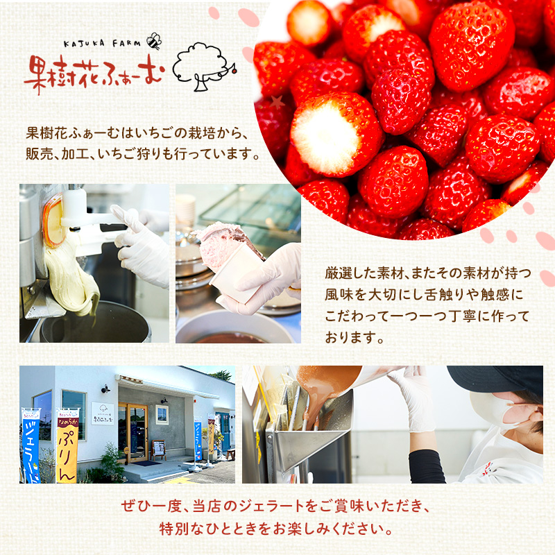 ジェラート マンゴー 6個 アイス アイスクリーム スイーツ お菓子 菓子 おやつ 兵庫県 加西市 