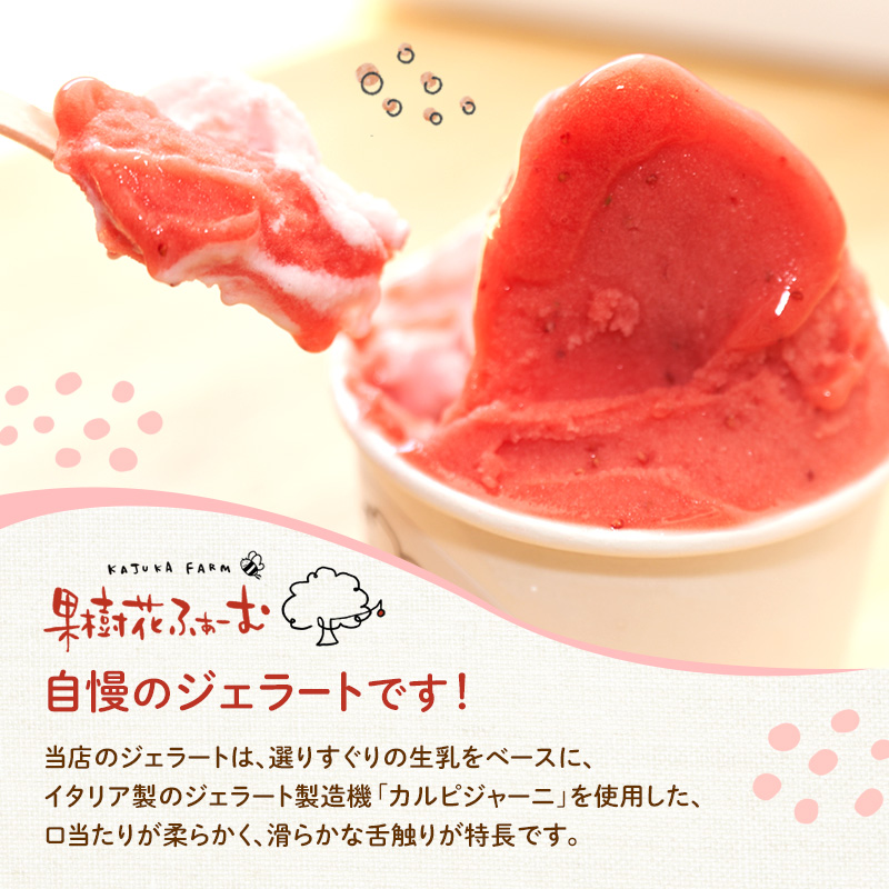 ジェラート いちご 6個 アイス アイスクリーム スイーツ お菓子 菓子 おやつ ストロベリー イチゴ  苺 兵庫県 加西市 