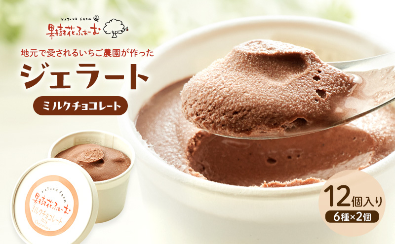 ジェラート チョコ 12個 アイス アイスクリーム スイーツ お菓子 菓子 おやつ 兵庫県 加西市 