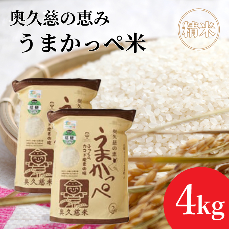 令和7年産奥久慈の恵みうまかっぺ米（コシヒカリ）2kg×2袋 計4kg｜茨城県 大子町 お米 白米 精米 ブランド米 銘柄米 食味値 ふっくら もちもち （AH001-2）