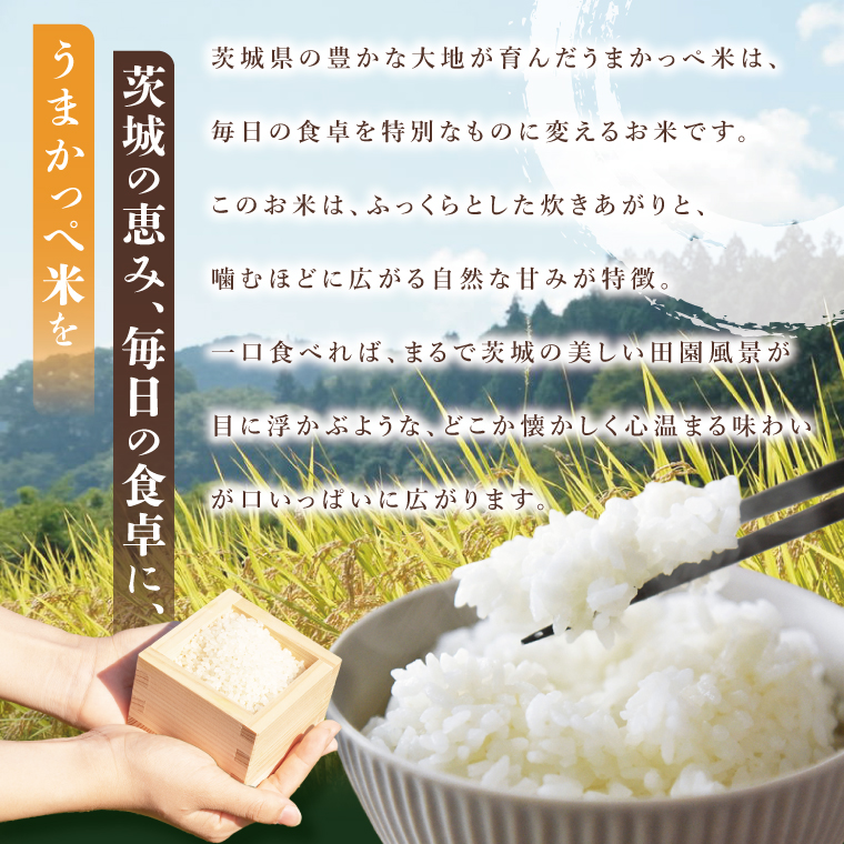 令和7年産【新米】奥久慈の恵みうまかっぺ米（コシヒカリ）2kg×2袋 計4kg｜茨城県 大子町 お米 白米 精米 ブランド米 銘柄米 食味値 ふっくら もちもち （AH001-2）