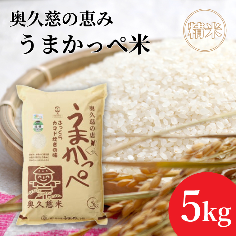 �y��錧��q���z�ߘa7�N�Y�y�V�āz���v���̌b�݂��܂����ؕāi�R�V�q�J���j 5kg�b��錧 ��q�� ���� ���� ���� �u�����h�� ������ �H���l �ӂ����� ���������iAH002-2�j