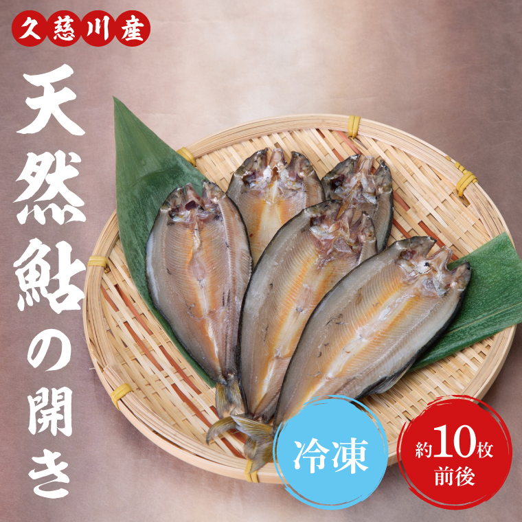 �y��錧��q���z�V�R ���̊J�� ��10���O��b��錧 ��q�� ���� �v���� �싛 �� �V�R�� ���� �A�� ��銱�� �Ⓚ�iAJ004�j