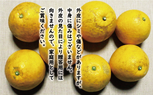 訳あり 河内晩柑 8kg 7000円 みかん かわちばんかん 愛南ゴールド あいなん ゴールド 美生柑 文旦 グレープフルーツ 和製 家庭用 産地直送 国産 農家直送 期間限定 数量限定 ビタミン 特産品 ゼリー ジュース 人気 限定 さわやか 甘い フルーツ 果物 柑橘 蜜柑 規格外 愛媛県 愛南町 塚岡農園