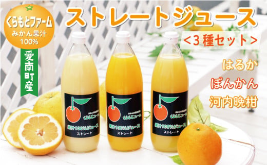 みかん 果汁 100% ストレート ジュース 3本 セット （ 1000ml × 3本 ） ぽんかん はるか 河内晩柑 愛南ゴールド 10000円 1万円 数量限定 期間限定 高級 贈答 ギフト プレゼント 母の日 敬老の日 おやつ 国産 フルーツ 果物 柑橘 産地直送 農家直送 特産品 完熟 濃厚 人気 限定 甘い こどもの日 ジューシー 新鮮 果実 さわやか 愛媛県 愛南町  くらもとファーム