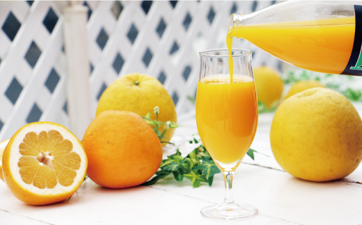 みかん 果汁 100% ストレート ジュース 3本 セット （ 1000ml × 3本 ） ぽんかん はるか 河内晩柑 愛南ゴールド 10000円 1万円 数量限定 期間限定 高級 贈答 ギフト プレゼント 母の日 敬老の日 おやつ 国産 フルーツ 果物 柑橘 産地直送 農家直送 特産品 完熟 濃厚 人気 限定 甘い こどもの日 ジューシー 新鮮 果実 さわやか 愛媛県 愛南町  くらもとファーム