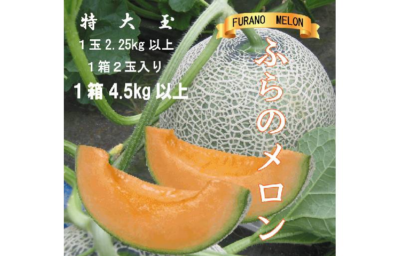 2026年夏発送【先行受付】 ふらのメロン 赤肉 特大玉2玉［1玉2.25kg以上］計4.5kg以上 富良野メロン 赤肉 めろん 北海道 甘い 大きい 果物 フルーツ