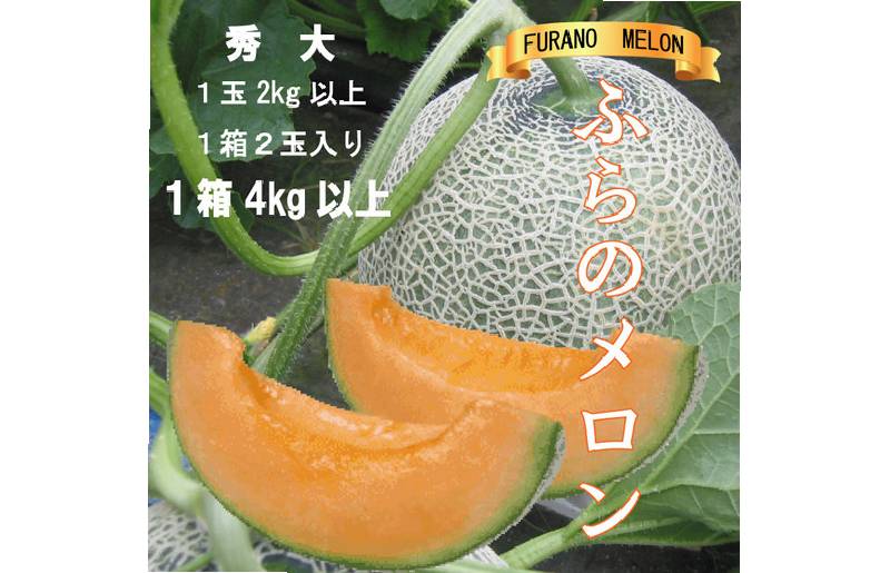 ykCxǖsz2026NĔystz ӂ̃ ԓ G2ʁm12kgȏnv4kgȏ xǖ상 ԓ ߂ kC Â 傫 ʕ t[c