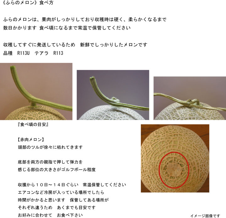 2026年夏発送【先行受付】 ふらのメロン 赤肉 秀大4玉［1玉2kg以上］計8kg以上 富良野メロン 赤肉 めろん 北海道 甘い 大きい 果物 フルーツ