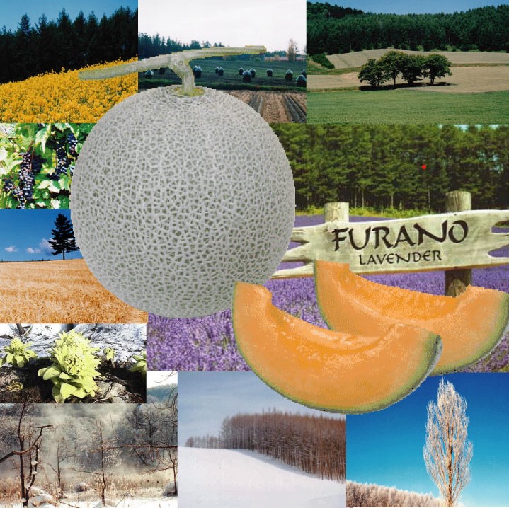 2026年夏発送【先行受付】 ふらのメロン 赤肉 秀大4玉［1玉2kg以上］計8kg以上 富良野メロン 赤肉 めろん 北海道 甘い 大きい 果物 フルーツ