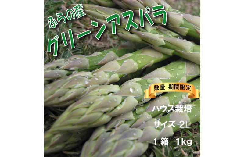 2026年春発送 ふらの産 グリーンアスパラ1kg［2Lサイズ］ハウス栽培 富良野 北海道 野菜 アスパラ 朝採り アスパラガス