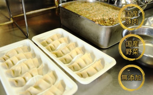 手作り 冷凍 ジャンボ 生餃子 合計 約2.5kg （ 6個 入り × 12パック ） 72個 10000円 餃子 ギョウザ ギョーザ ぎょうざ 国産 小分け 大容量 ごはんのお供 便利 日用 焼くだけ 簡単 調理 惣菜 加工食品 絶品 おかず おつまみ 晩ごはん 中華 野菜 豚肉 キャベツ 玉ねぎ にんにく 生姜 グルメ ビール ハイボール ごま油 お好み焼き ひらの