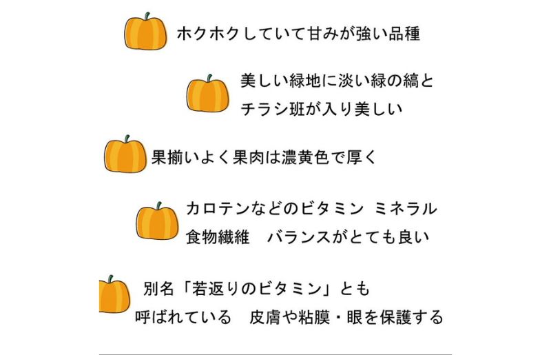 2026年秋発送【数量・期間限定】ふらの産 かぼちゃ10kg［くり大将］ 富良野 北海道 カボチャ 南瓜 甘い 野菜