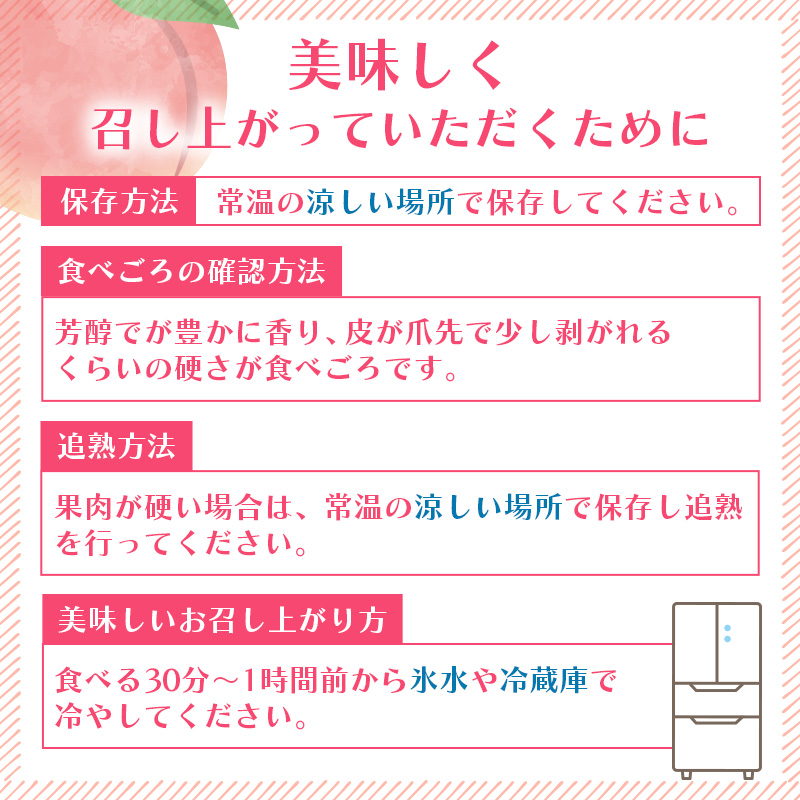 桃 2026年 先行予約 ご家庭用 白桃（晩生種）5～6玉 合計約1.5kg もも モモ 岡山県産 国産 フルーツ 果物 ギフト