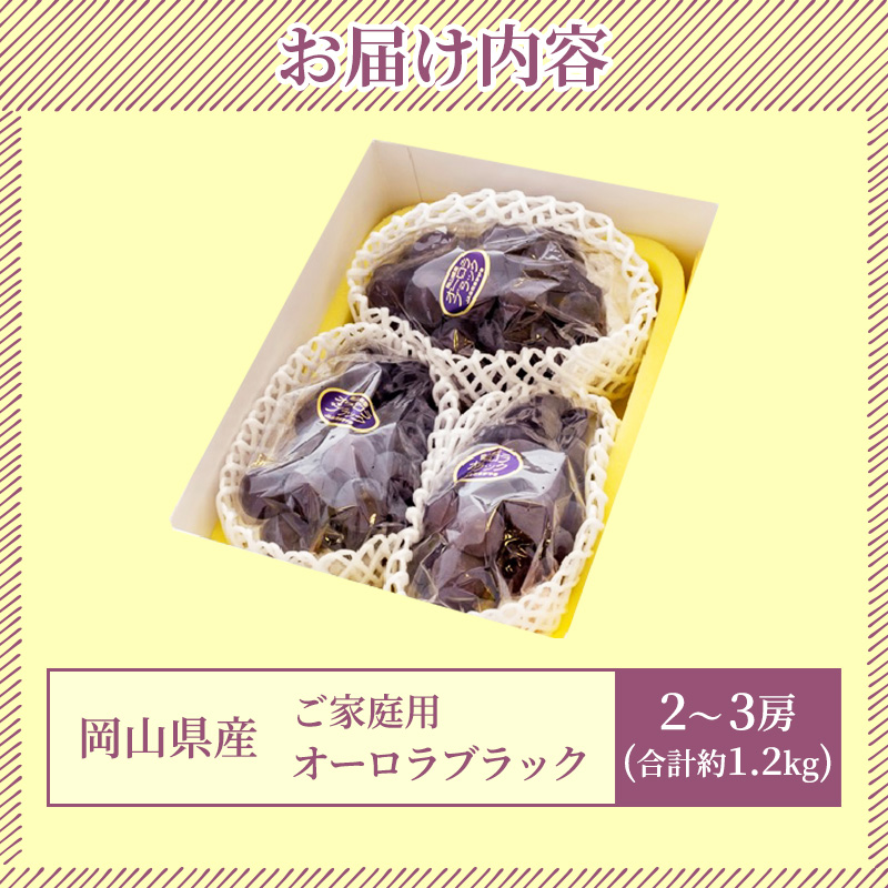 ぶどう 2026年 先行予約 ご家庭用 オーロラブラック 2～3房 合計約1.2kg ブドウ 葡萄  岡山県産 国産 フルーツ 果物 ギフト