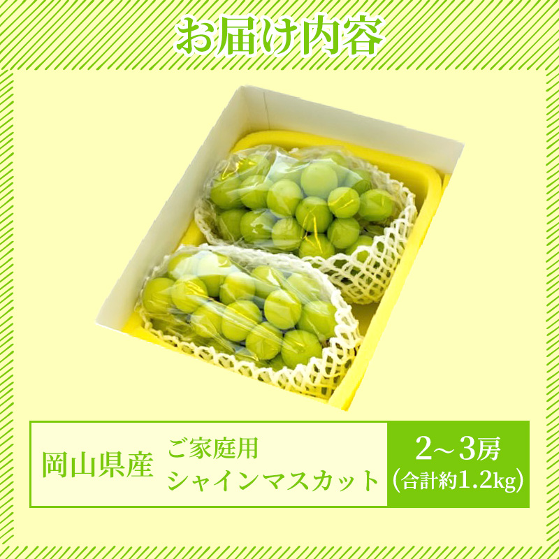 シャインマスカットご自宅用５kg ご自宅用シャインマスカット5kg