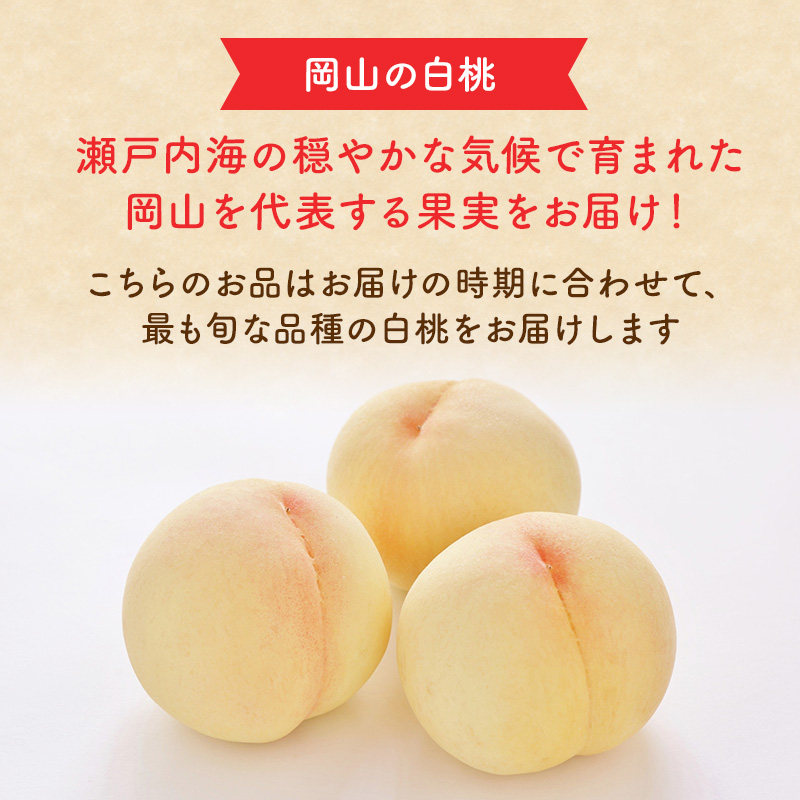 桃 2026年 先行予約 岡山 白桃 エース 4～6玉 約1kg JA おかやま のもも（早生種・中生種） もも モモ 岡山県産 国産 フルーツ 果物 ギフト 