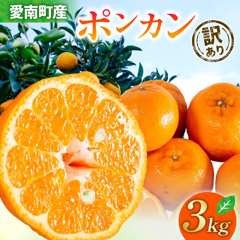 yQ쒬zy 2026N s\ z 󂠂 |J 3kg TCY~bNX  7000~ k ݂  ƒp t[c ʕ KiO s LY 킯 Â Z W[V[  O ~̖o W[X X[W[ W َq  }[}[h 
