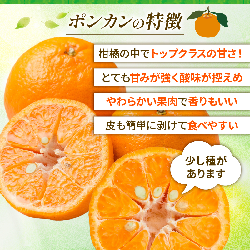 【 2026年 先行予約 】 訳あり ポンカン 3kg サイズミックス 送料無料 7000円 柑橘 みかん 蜜柑 家庭用 フルーツ 果物 規格外 不揃い キズ わけあり 甘い 濃厚 ジューシー お取り寄せ グルメ 冬の味覚 ジュース スムージー ジャム お菓子 作り マーマレード スイーツ 作り 旬の果物 農家直送 ビタミンC 予約受付 サイズ不揃い 愛媛県 愛南町 清家ばんかんビレッジ