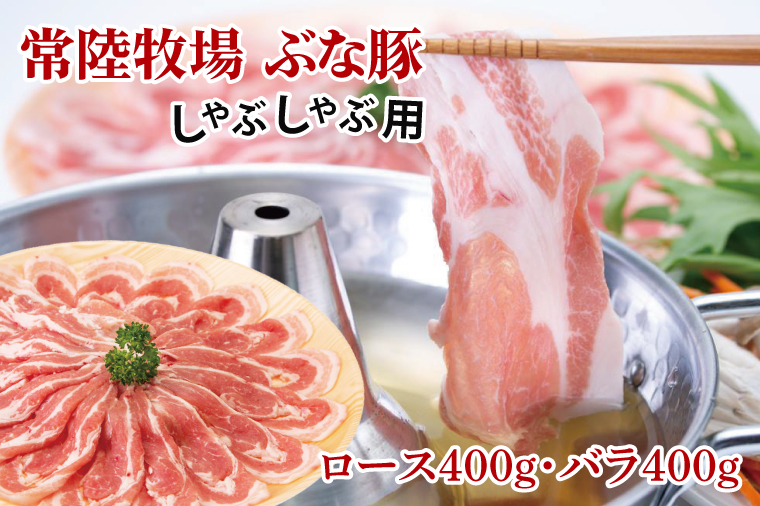 y錧qz헤q Ԃȓ Ԃԗp ([X400gEo400g)iAX002j