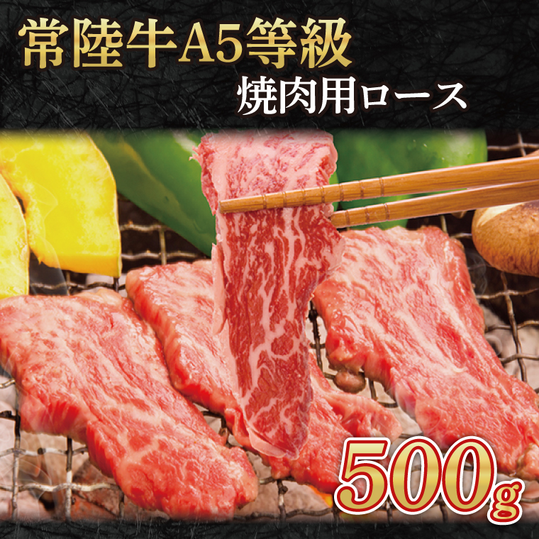 常陸牛A5等級　焼肉用500g（ロース）｜茨城県 大子町 奥久慈 お肉 牛肉 銘柄牛 ブランド牛 和牛 常陸 お歳暮 贈答 贈り物 包装 のし 熨斗 プレゼント 指定日 日時指定（AC008）
