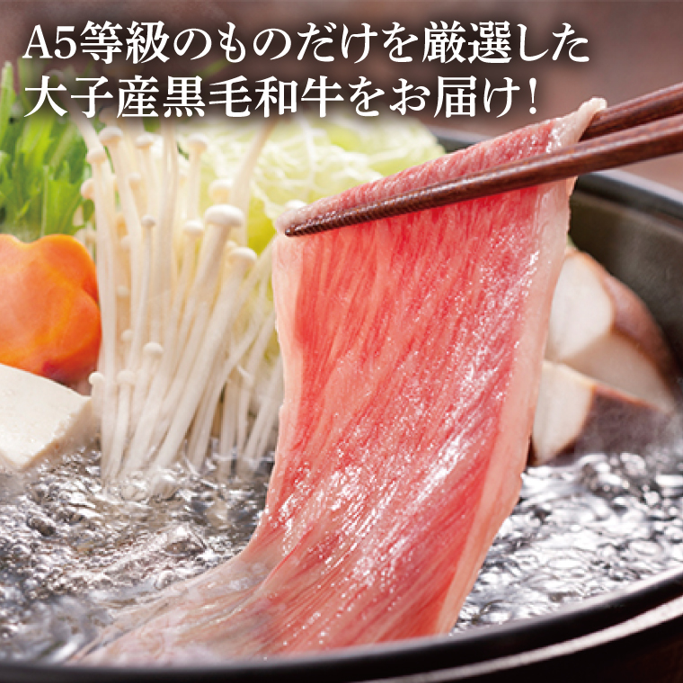 常陸牛A5等級　しゃぶしゃぶ用500g（ロース）｜茨城県 大子町 奥久慈 お肉 牛肉 銘柄牛 ブランド牛 和牛 常陸 お歳暮 贈答 贈り物 包装 のし 熨斗 プレゼント 指定日 日時指定（AC010）
