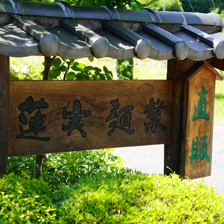 創業明治35年蓮実麺業のよくばり麺セット（ラーメン・うどん・そば）｜茨城県 大子町 奥久慈 袋田 麺 自家製 ラーメン 味噌 醤油 うどん コシ そば とろろ お歳暮 年越しそば 贈答 贈り物 包装 のし 熨斗 プレゼント 指定日 日時指定（AW001）