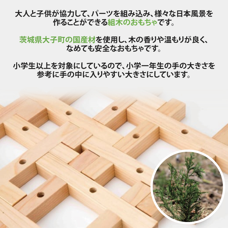 【いばらきデザインセレクション最高賞受賞】親子で楽しめる組み木の玩具　もりの大工（AZ001）