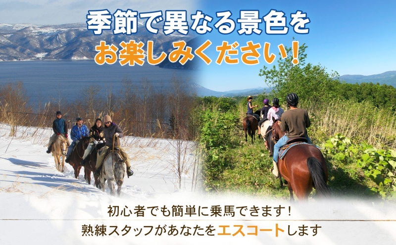  北海道 乗馬体験 40分コース ペア券 ホース トレッキング 絶景 自然 貴重 体験 経験 景色 ふれあい 血統馬 初心者 本格的 のんびり お子様 大人 楽しい レイクトーヤランチ 洞爺湖 体験チケット 
