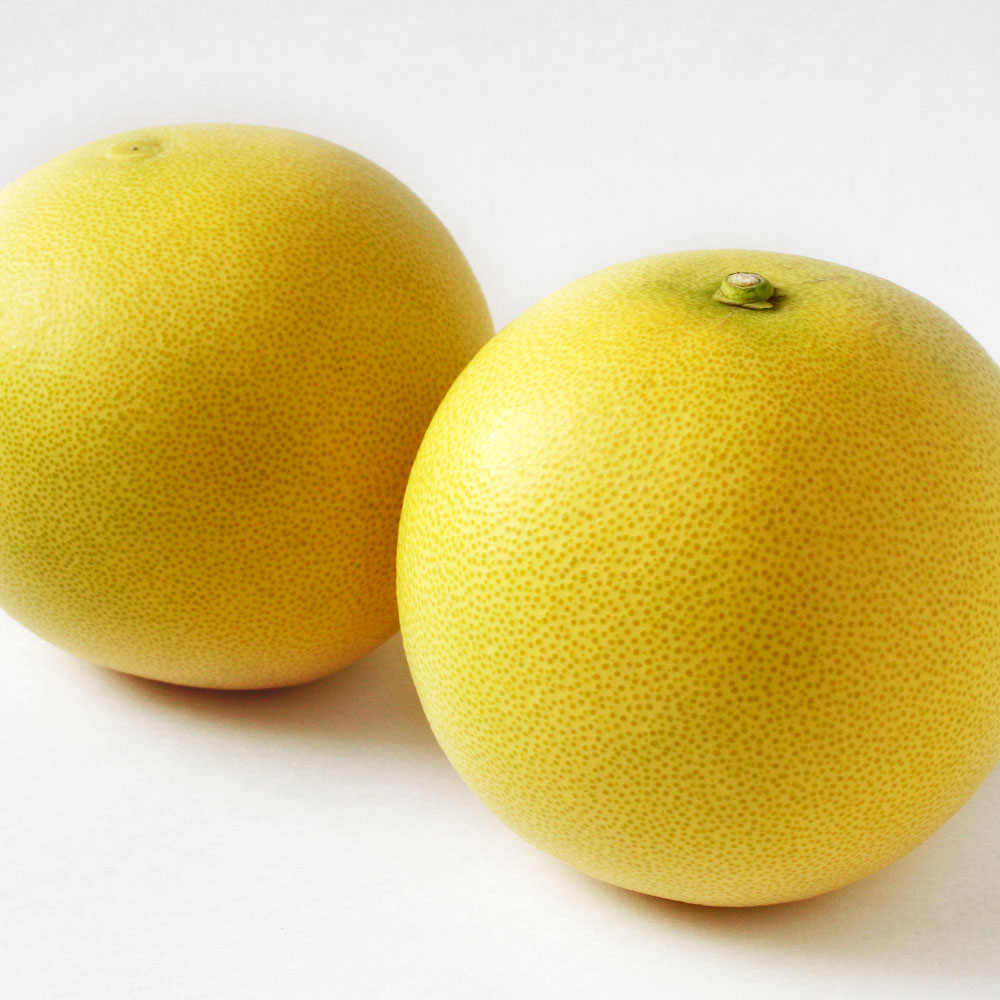 ＜2026年1月下旬より順次発送＞嬉龍の土佐文旦　贈答用　2～3Ｌサイズ　約10kg　減農薬 みかん 柑橘 フルーツ 1月～3月発送 文旦 ぶんたん ブンタン 果物 お取り寄せ おいしい 美味しい ギフト 贈り物 故郷納税 返礼品 高知県 高知