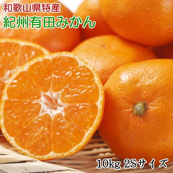 ZD7014_【2026年先行予約】【産直・秀品】 和歌山 有田みかん 10kg（2Sサイズ）