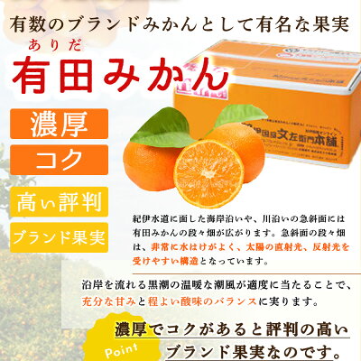 V7438_ブランド有田みかん 秀品5kg【サイズおまかせ】／産地直送／薄皮で甘い美味しい和歌山県産／紀伊国屋文左衛門本舗（お届け日指定不可）