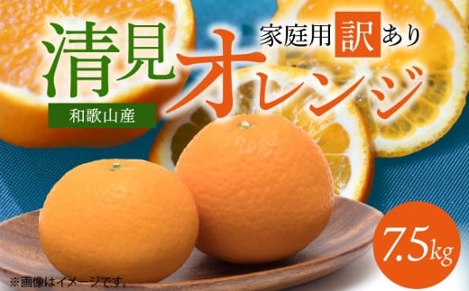 G7067_【2026年先行予約】紀州有田産 清見 オレンジ 7.5kg【家庭用 訳あり】