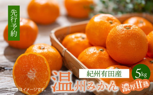 ya̎RLcS󒬁zG7344_IB LcY ZÏn B݂ 5kg (TCY)