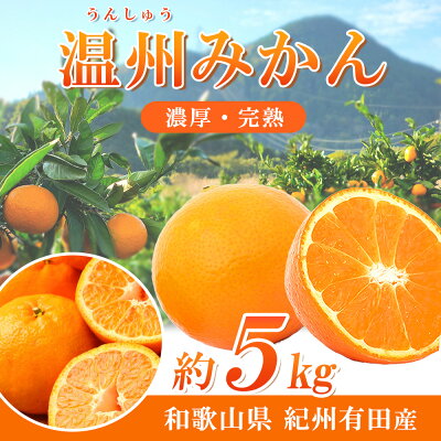 G7344_紀州 有田産 濃厚甘熟 温州みかん 5kg (小粒サイズ)