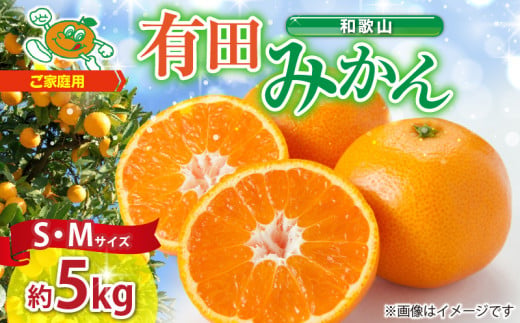 ya̎RLcS󒬁zZJ6078_ƒp@a̎R Lc݂ 5kg (SAMTCY)y󒬁z