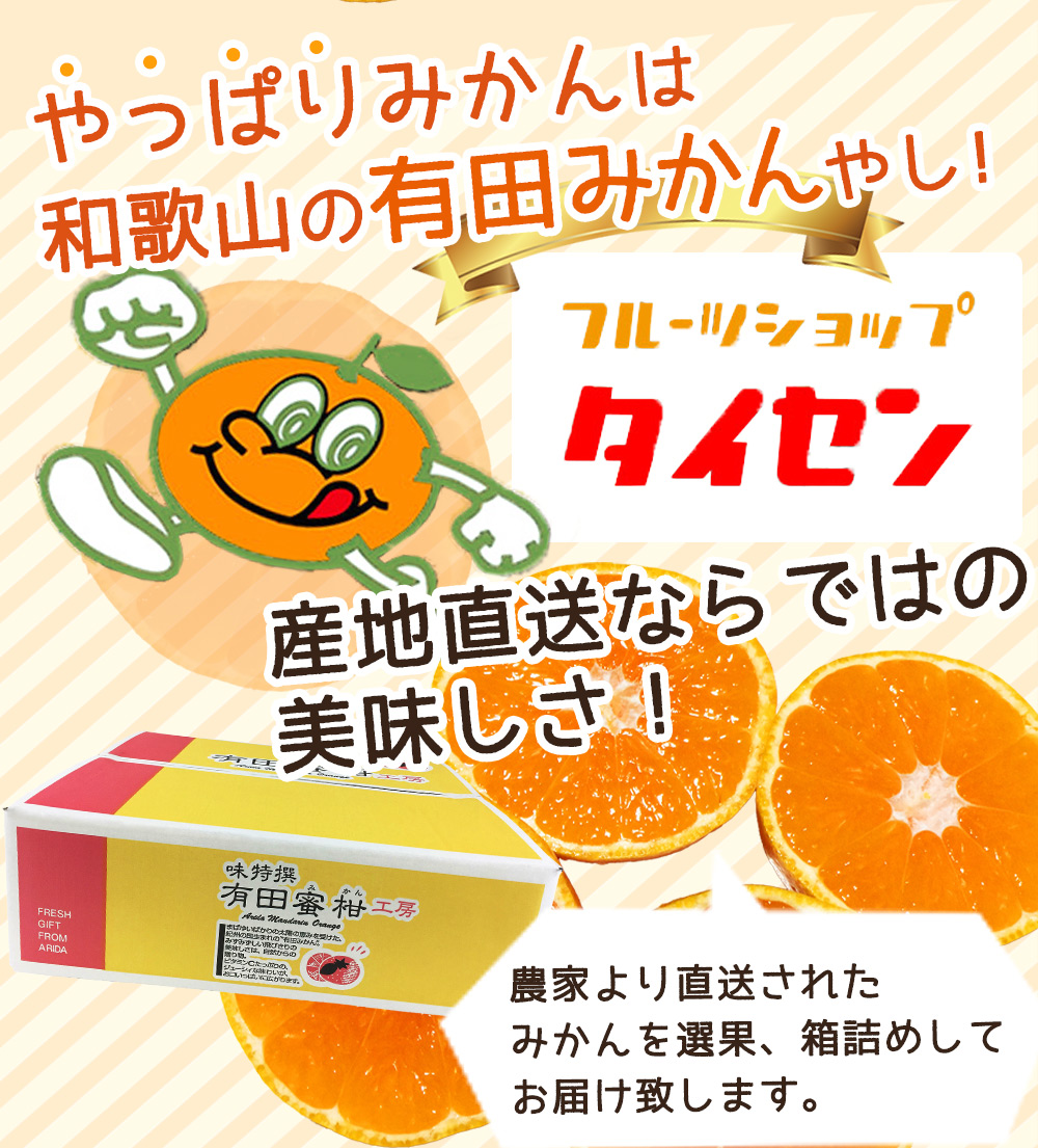 ZJ6078_ご家庭用　和歌山 有田みかん 約5kg (S、Mサイズ)【湯浅町】