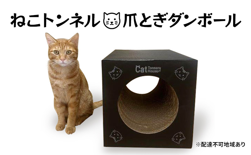 y{錧sz˂gl`Cat Tonneru House`