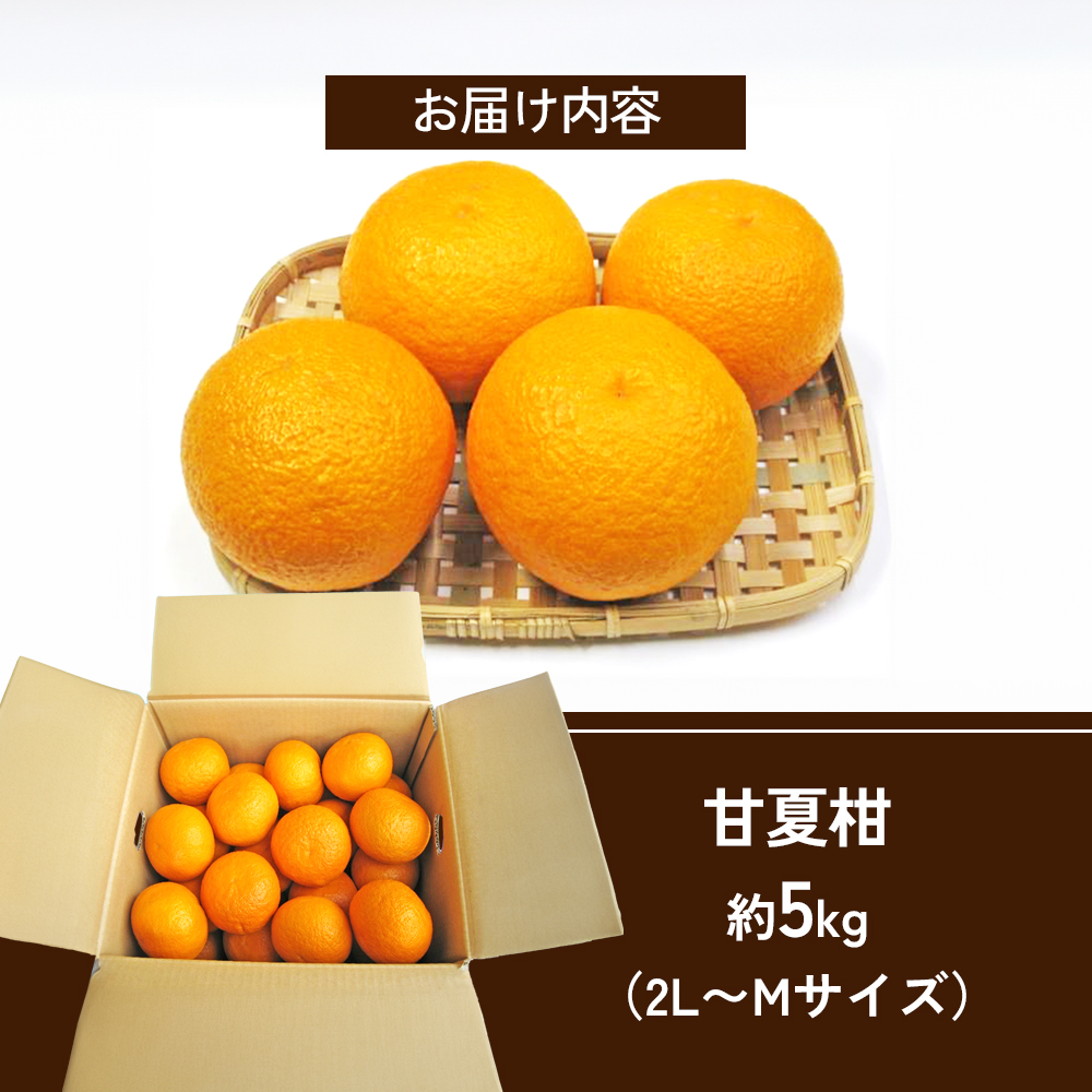 【 小豆島 】 甘夏柑 約5kg 柑橘 あまなつかん 果物 フルーツ 爽やか さっぱり くだもの 国産 香川 香川県 土庄 土庄町 